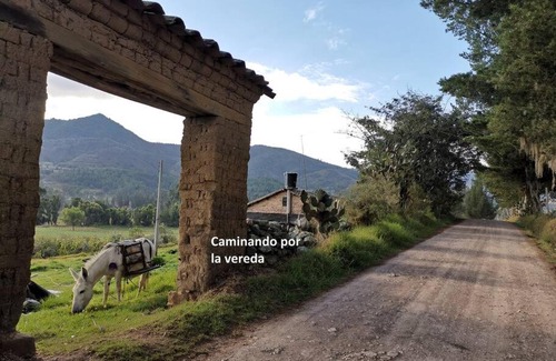 Pesca Casa | Fogata Naturaleza y Descanso, Casa de Campo Eucaliptos
