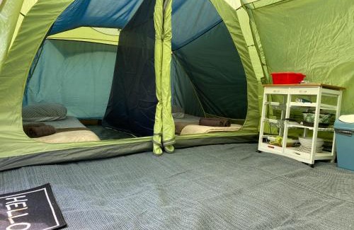 Blond Otro | Fonclaire Holidays Carpers Rest