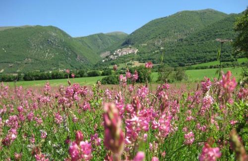 Casali di Serravalle Casa | FonteAntica Agriturismo