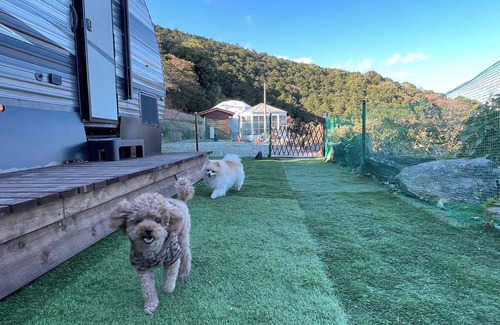 Futo Cabina | For 2 people Dogs allowed Dome tent 6mE traile / Ito Shizuoka
