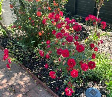 Templeton Casa | Forest and Vine - Hot tub and Pet Friendly!