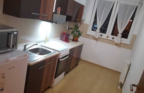 Calea Sever Bocu Apartamento | Forest Apartment Timisoara
