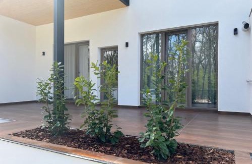 Pitesti Apartamento | Forest Boutique