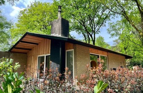 Rheezerveen Casa | Forest Bungalow 2 * Hottub & Sauna * Natuur