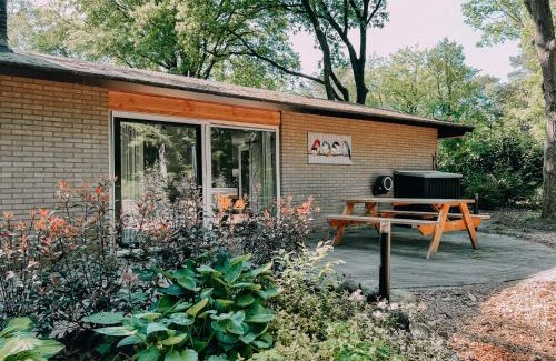 Rheezerveen Casa | Forest Bungalow 2 * Hottub & Sauna * Natuur