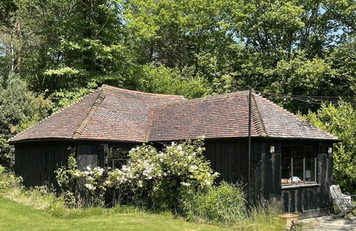 Abbess Roding Cabina | Forest cabin in the Kent countryside – pet friendly!