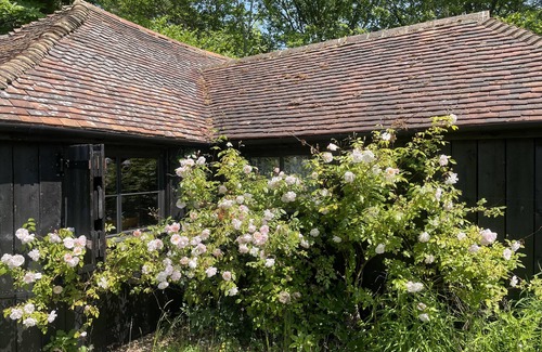 Abbess Roding Cabina | Forest cabin in the Kent countryside – pet friendly!