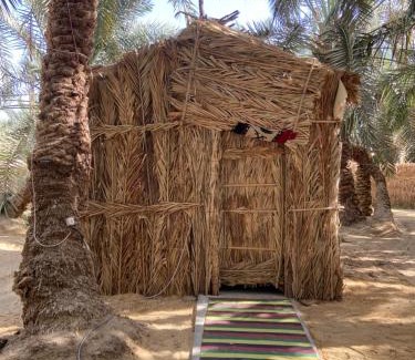 Siwa Otro | Forest Camp Siwa - كامب الغابة