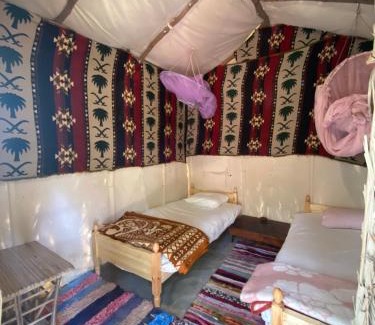 Siwa Otro | Forest Camp Siwa - كامب الغابة