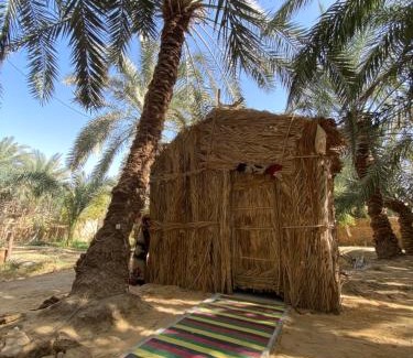 Siwa Otro | Forest Camp Siwa - كامب الغابة