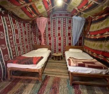 Siwa Otro | Forest Camp Siwa - كامب الغابة