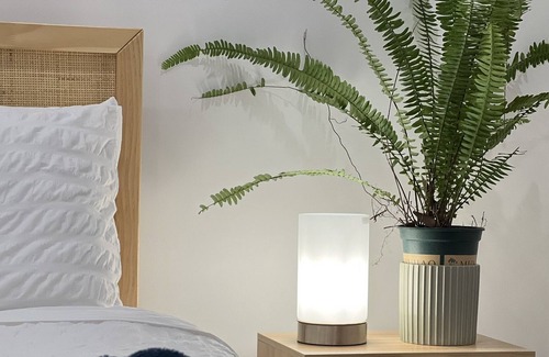 Mount Pleasant Cabina | Forest Cottage- Close to City Centre and Beaches