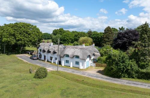 New Forest District Casa | Forest Cottage