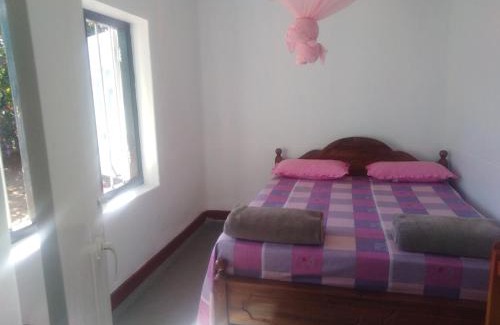 Ohiya Casa | Forest Cyniciam Homestay