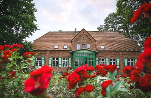 Platschow Casa | Forest farm in secluded location with fenced 16,000m² park, sauna, fireplace, hot tub in West Mecklenburg