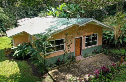 Monteverde Casa | Forest Garden House