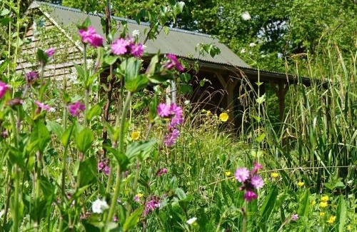 East Grinstead Otro | Forest Garden Shovelstrode