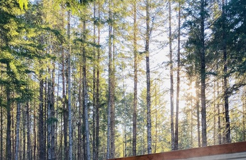 Olympia Casa | Forest Hideaway House