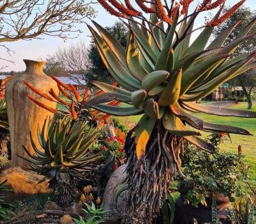 Mkhondo Casa | Forest Hill Country Lodge