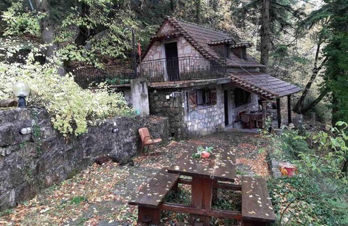 Amfikleia-Elateia Apartamento | Forest House