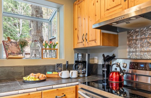 Leavenworth Cabina | Forest+Mountain Views, Hot Tub, Sauna, EV Charger, Dogs OK, Near Lake Wenatchee