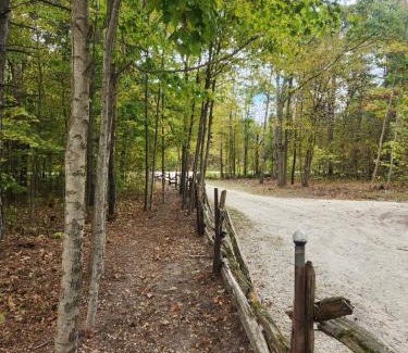 Clearview Otro | Forest Oasis Camping Resort