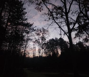 Clearview Otro | Forest Oasis Camping Resort