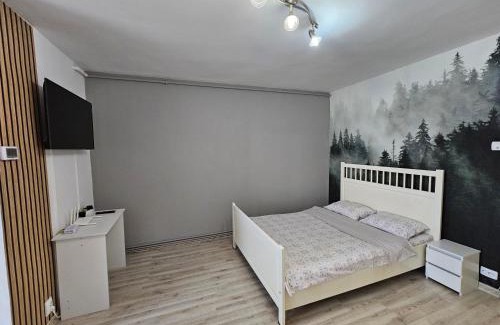 Center Apartamento | Forest Studio