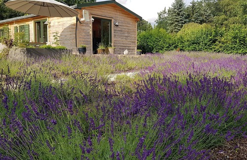 Muecke Casa | Forest time out by the lake