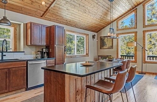 Valley of the Sun Apartamento | Forest View Cabin – Near Breck & Keystone