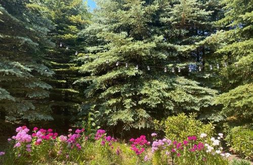 Mszczonow Casa | Forest Villa - pokoje w pobliżu Suntago