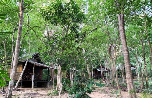 Nuea Khlong Casa | Cabaña Foresta de Koh Pu no6196