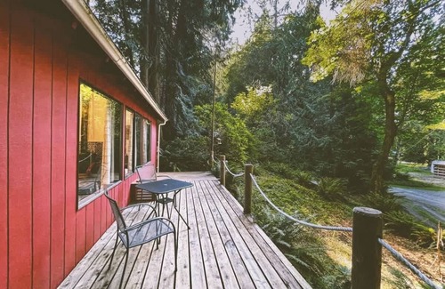 Port Angeles Cabina | Forested Cottage in the Woods, near Olympic Park