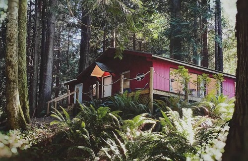 Port Angeles Cabina | Forested Cottage in the Woods, near Olympic Park
