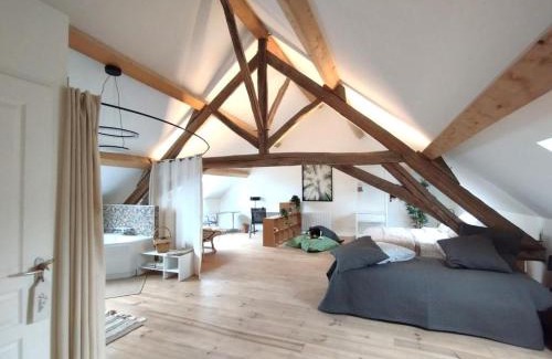 Saulieu Casa | FORET