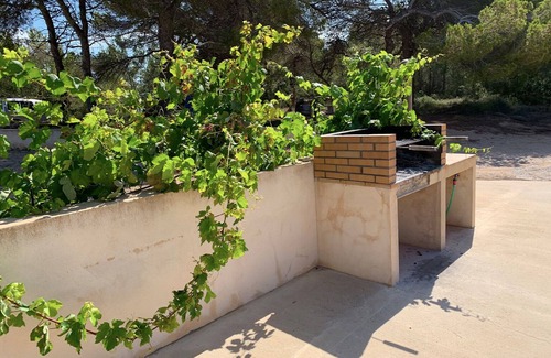 Sant Francesc Xavier Apartamento | Bonito alojamiento entre viñedos, cerca de Sant Francesc.
