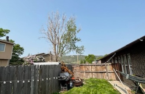 Fort Collins Apartamento | Fort Collins Charm - 2 bd, 1 bth, 1st fl, with fenced yard, and private parking