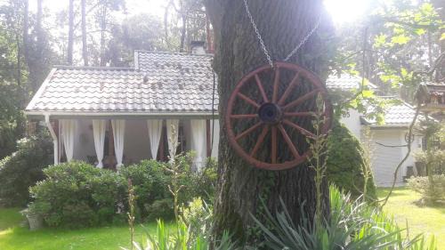 gmina Wieliszew Casa | Fort Janowek