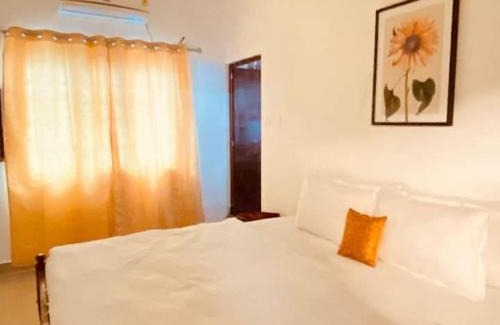Fort Kochi Cama Y Desayuno | Fortis Rooms