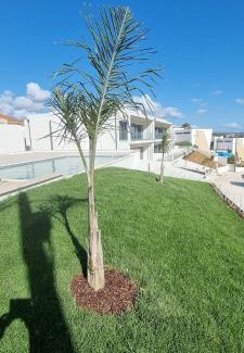 Foz do Arelho Apartamento | Fou de Foz