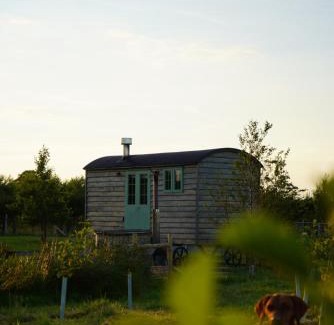 Donaghadee Otro | Four Acres Farm Shepherds Huts