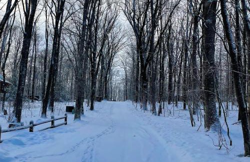 Swanton Casa | Four Bear Cabin