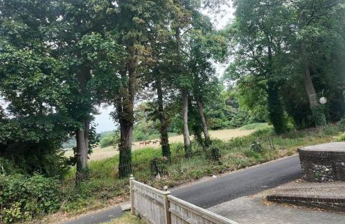 Bromley Common and Keston Apartamento | Fox Lane Farm Cottage