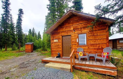 Slana Cabina | Fox's Den Cozy National Park Stay with Lake Access, Boats, Pets OK