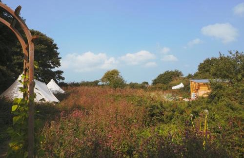 Marazion Otro | Foxglove Field Glamping