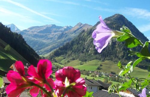 Woerth Casa | Frühstücks- Pension Sonnblickhof inklusive SommerCard