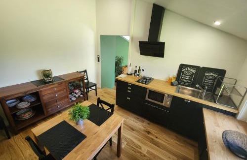 Beaujeu-Saint-Vallier-Pierrejux-et-Quitteur Apartamento | La Couleuvre