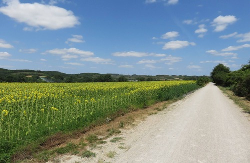 Escueillens-et-Saint-Just-de-Belengard Casa | Les Gîtes Jumeaux con jardines tranquilos y granero acogedor en un pueblo rural