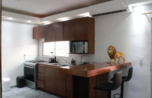 Ixtapa Casa | Fraccionamiento Pacifico Azul