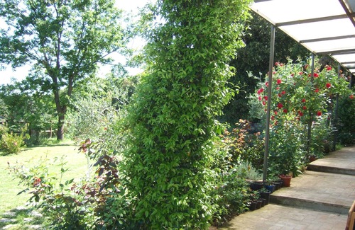 Palazzina Apartamento | Casa en el campo de Murlo con jardín y parque.